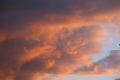 关于本站因技术问题长期停更的说明